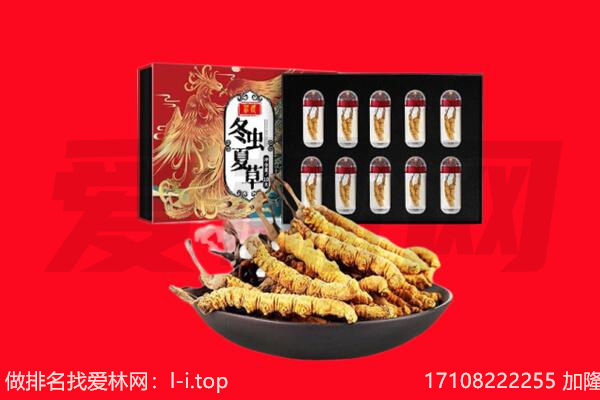 梧州市回收虫草.jpg
